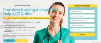 Nursing Assignment Writers UK image 1